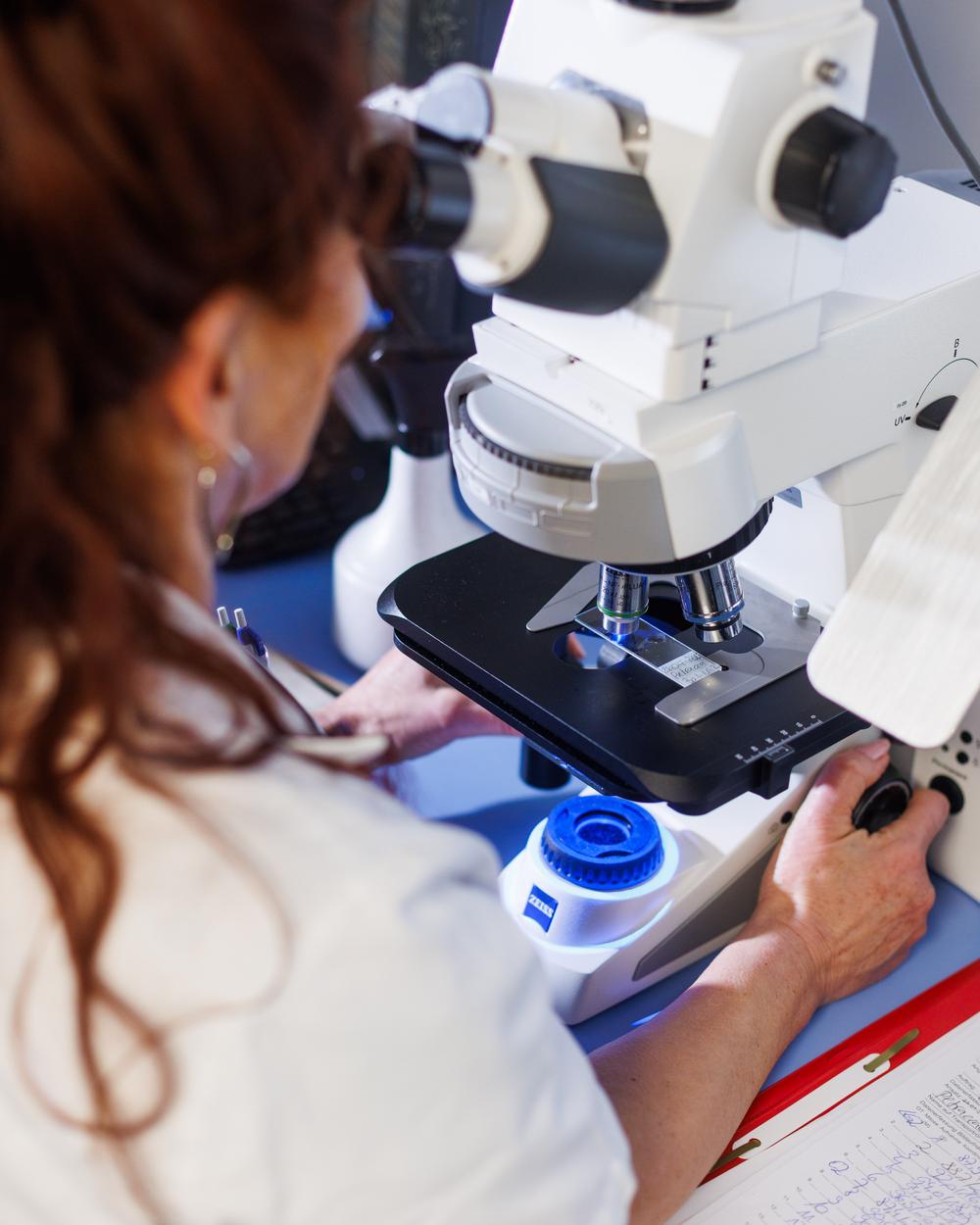 Porträt von  Ariane Yamada