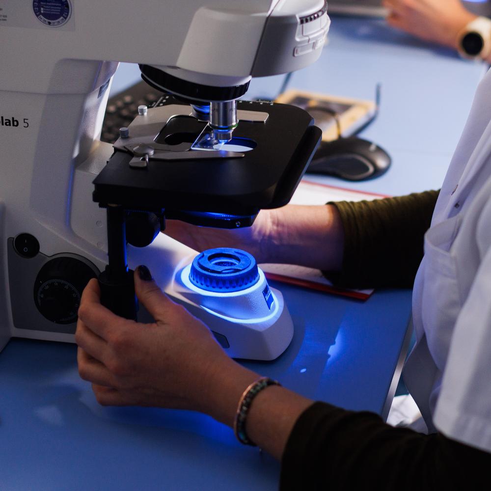 Humangenetisches Labor | Genetische Laboranalysen | Genetica