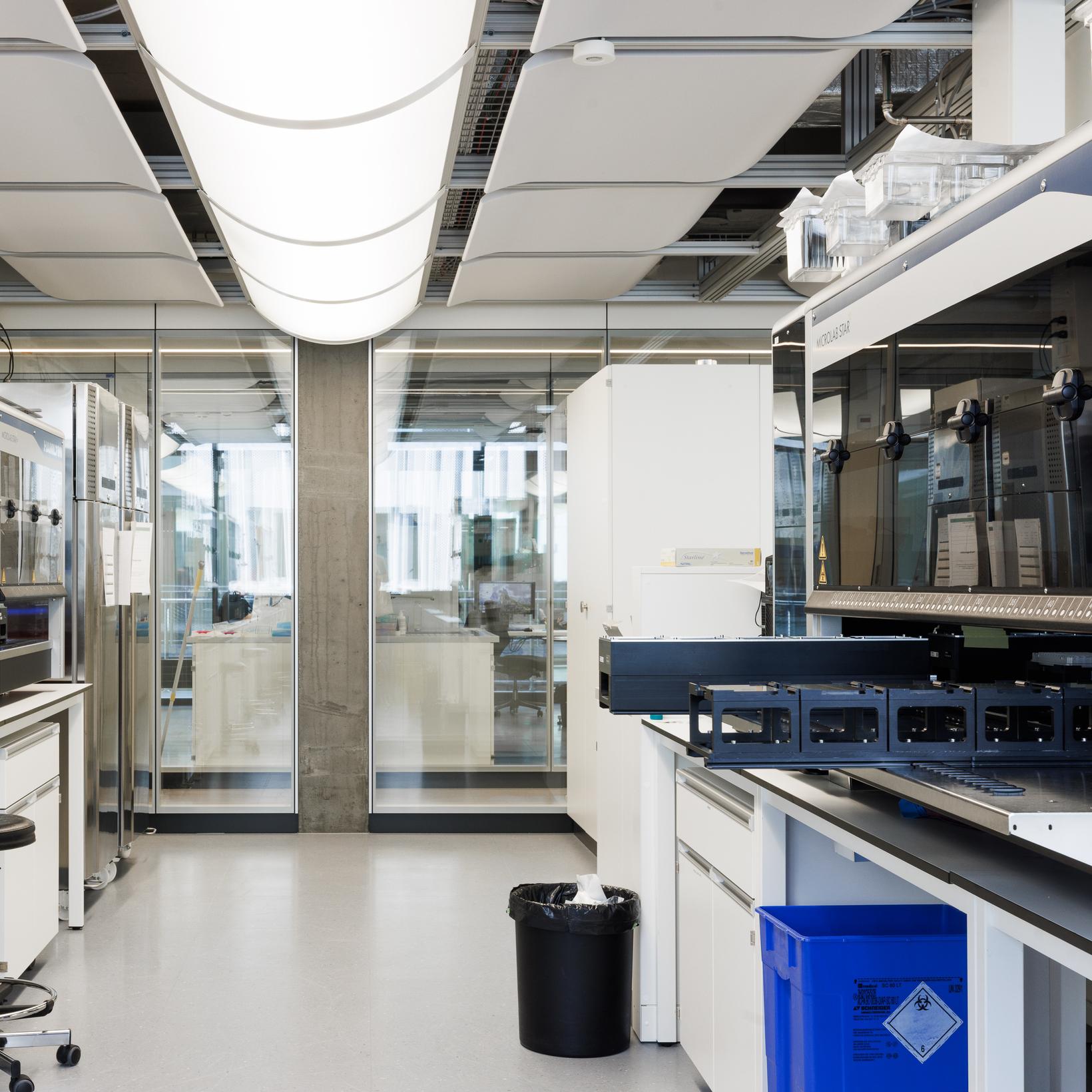 Bild von Sex determination