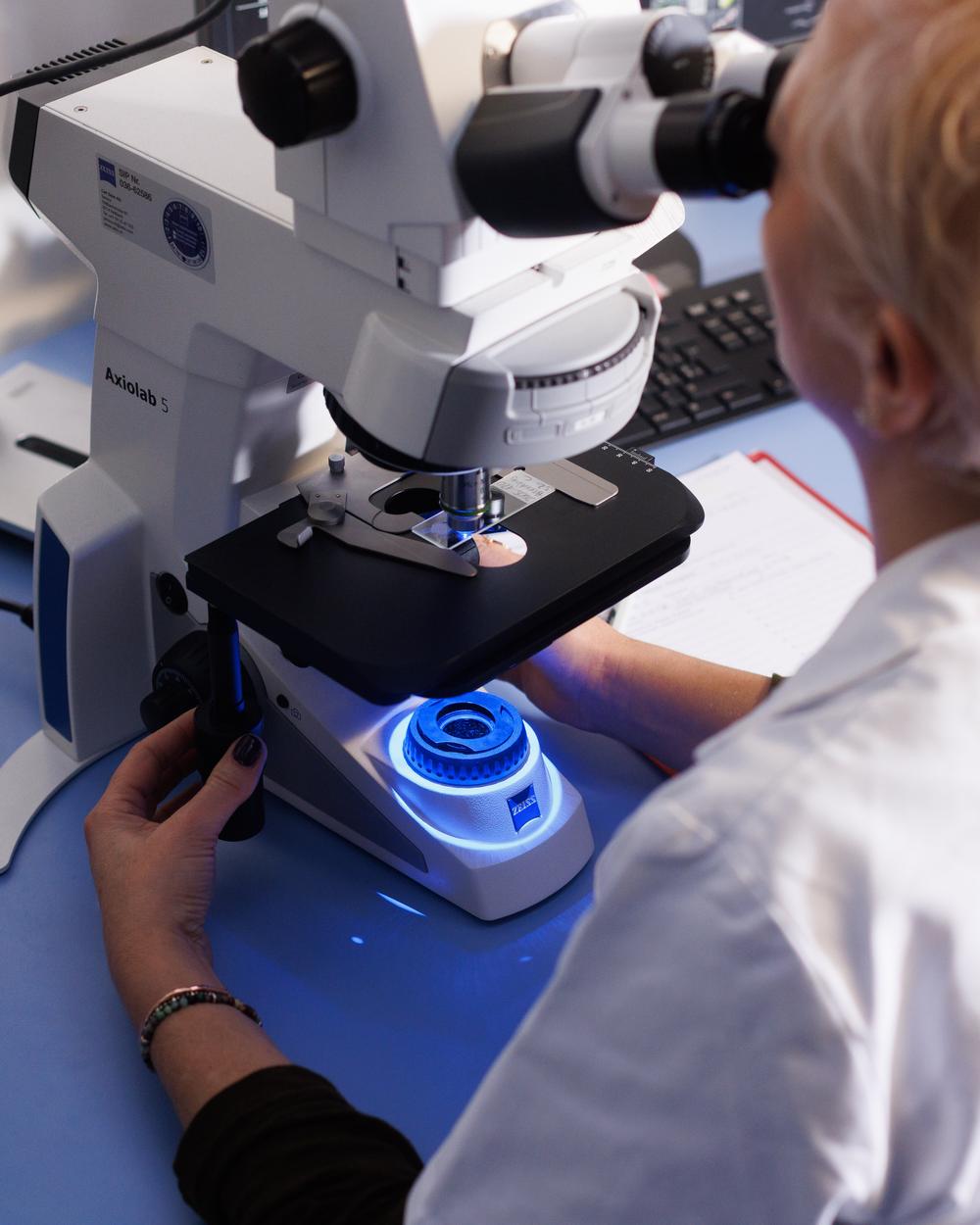 Porträt von  Britta Seebauer