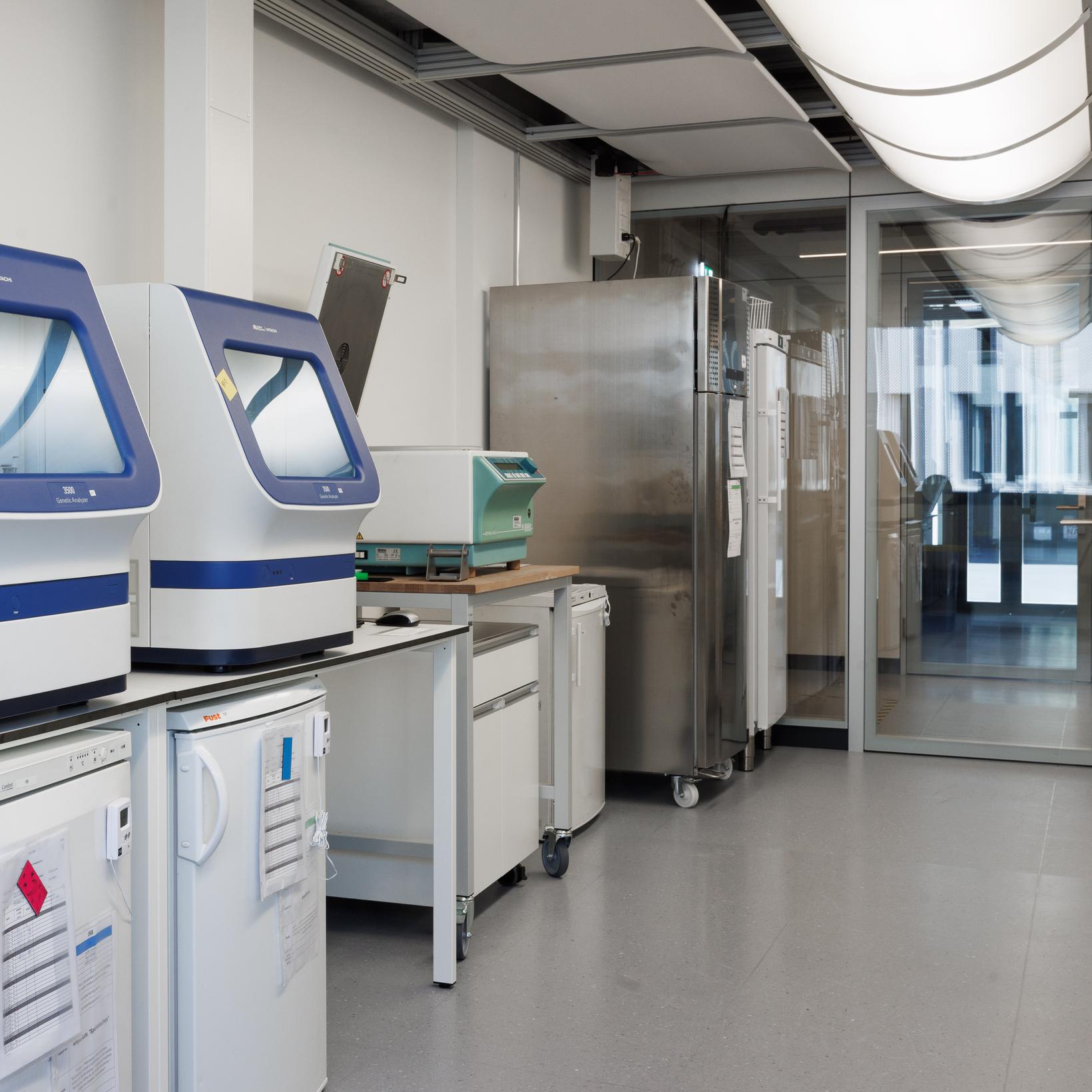 Bild von Pseudoexons