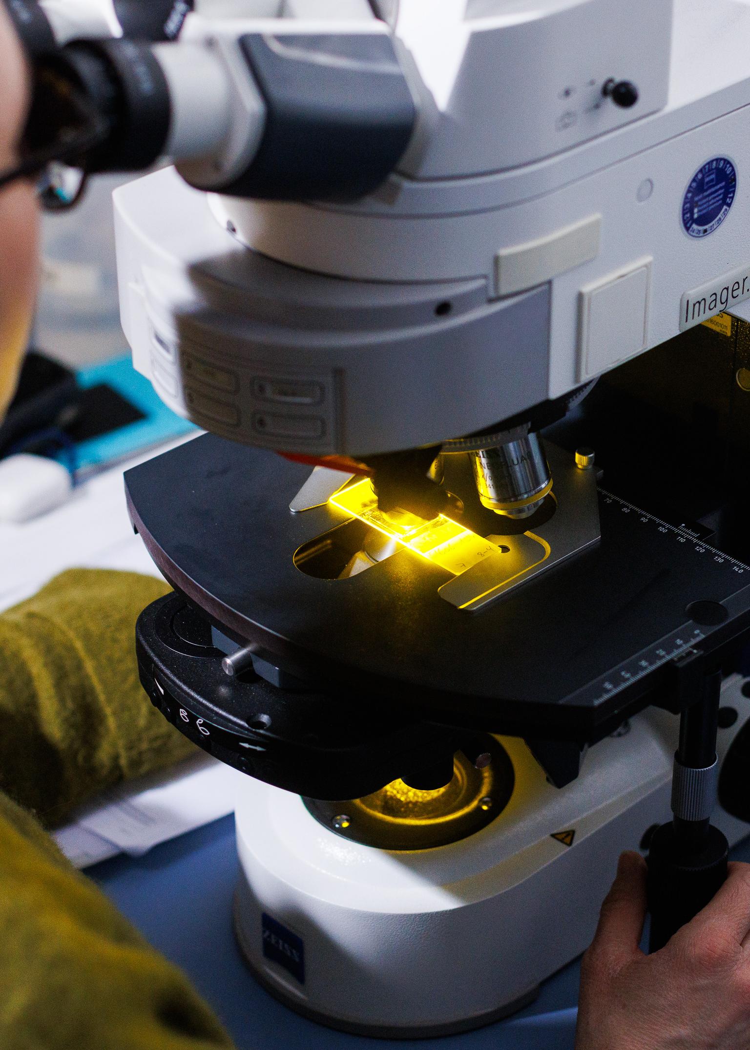 Bild von Fachärzt:in für Medizinische Genetik FMH