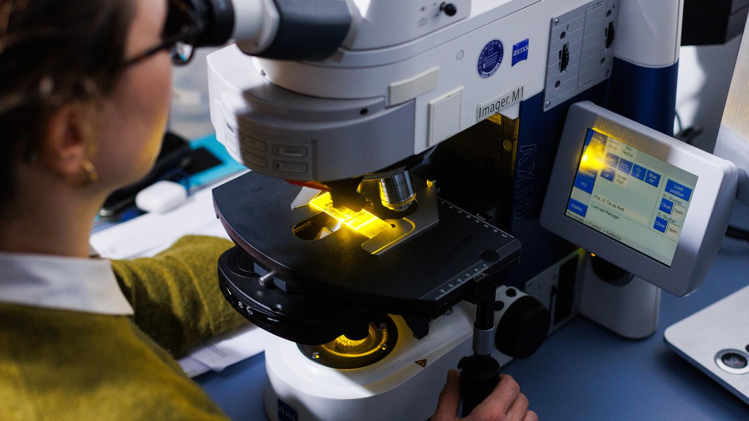 Bild von Fachärzt:in für Medizinische Genetik FMH