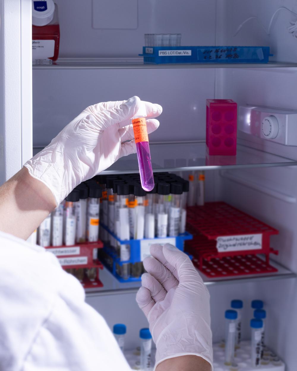 Porträt von  Demian Mayer