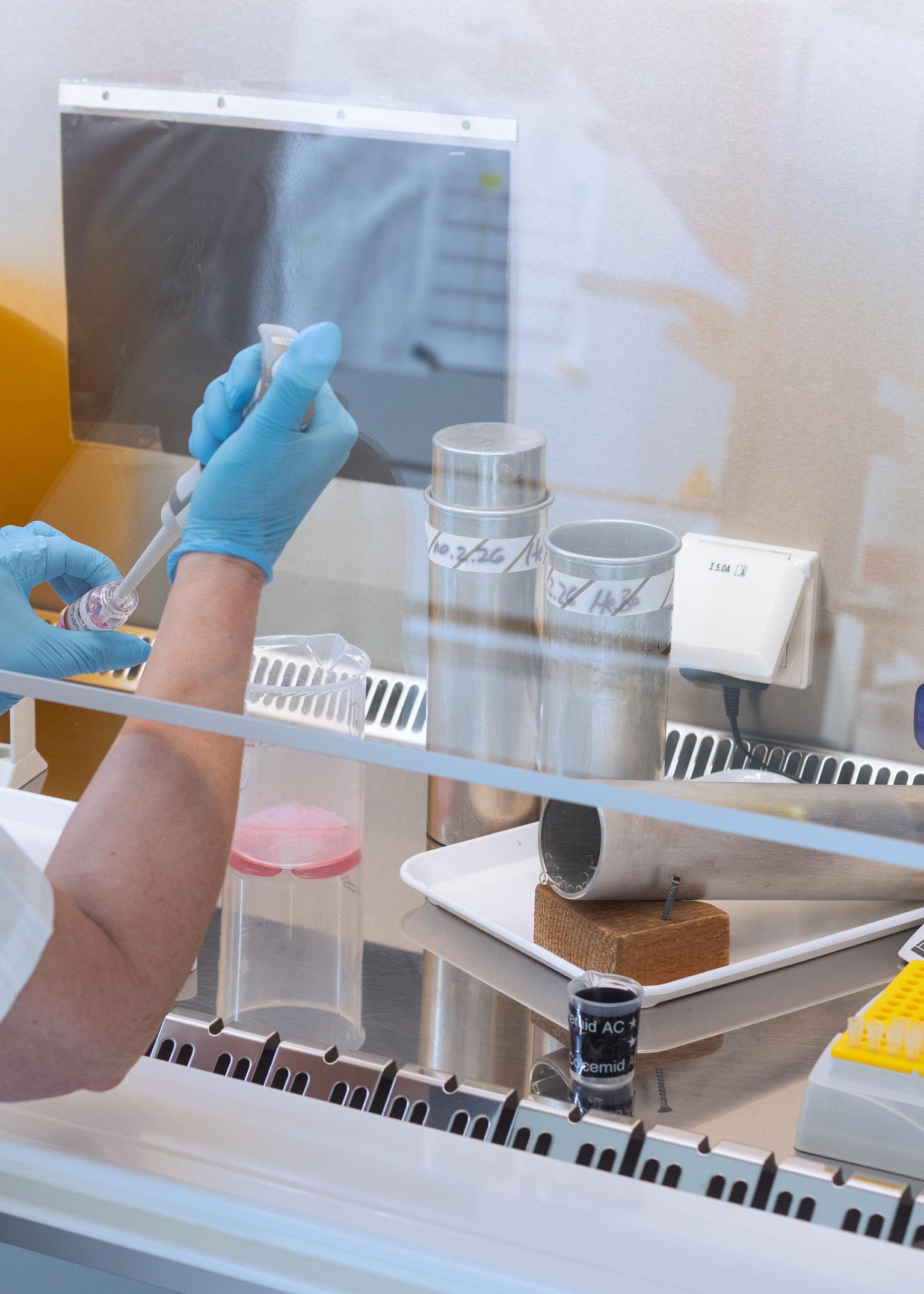 Bild von Spezialist:in für Labormedizin FAMH, Medizinische Genetik